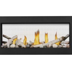 Napoleon - Vector™ 38 See Through Direct Vent Fireplace, Natural Gas, Electronic Ignition