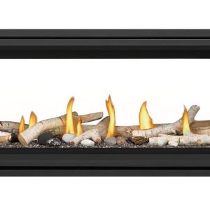 Napoleon - Vector™ 62 See Through Direct Vent Fireplace, Natural Gas, Electronic Ignition