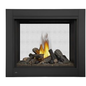 Napoleon - Ascent™ Multi-View See Through Direct Vent Fireplace, Natural Gas, Electronic Ignition