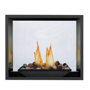 Napoleon - High Definition 81 Direct Vent Fireplace, Natural Gas, Electronic Ignition