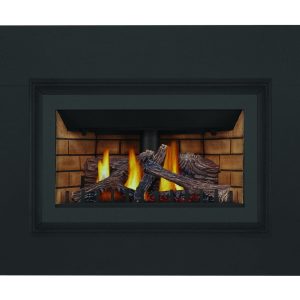 Napoleon - Inspiration™ ZC Gas Fireplace Insert , Natural Gas, Millivolt Ignition