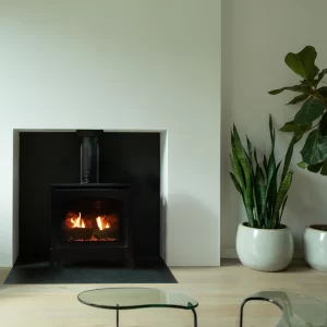 Empire Hearth Spirit Direct-Vent Steel Stove